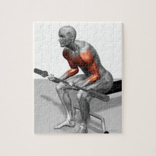 Quebra-cabeça Curvas de pulso