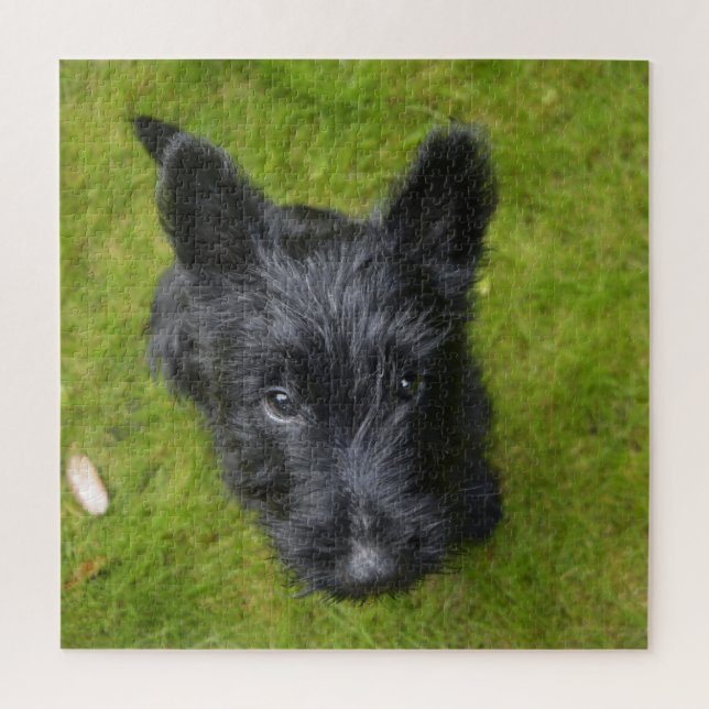 Quebra-cabeça Custa Scottish Terrier Puppy (Vertical)