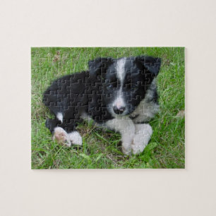 Quebra-cabeça customizável de border collie!