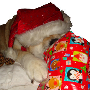Quebra-cabeça Cute akita em santa vermelha que puzzle infantis