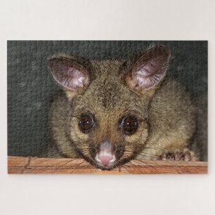 Quebra-cabeça Cute australiano