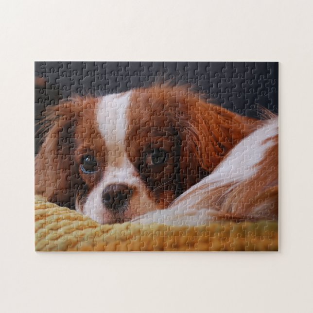 Quebra-cabeça Cute Cavalier King Charles Spaniel (Horizontal)