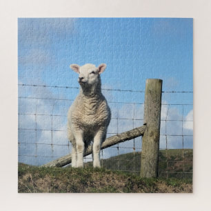 QUEBRA-CABEÇA CUTE LAMB