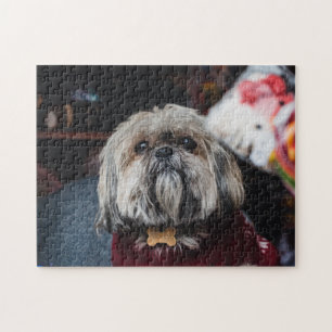 Quebra-cabeça Cute lhasa apso cachorrinho no Natal b