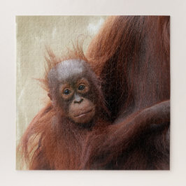 Quebra-cabeça Cute Mais Louco - O Adorável Bebê Orangutan