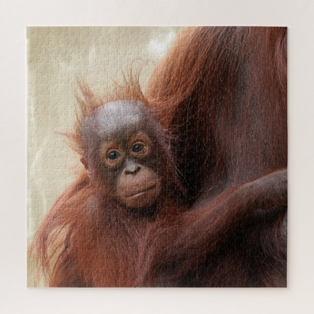 Quebra-cabeça Cute Mais Louco - O Adorável Bebê Orangutan (Vertical)