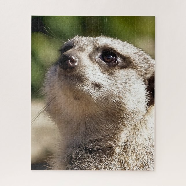 QUEBRA-CABEÇA CUTE MEERKAT (Vertical)