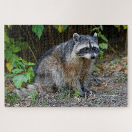 Quebra-cabeça Cute Posing North American Raccoon