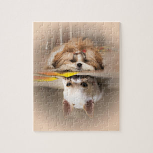 Quebra-cabeça Cute shih tzu e chihuahua