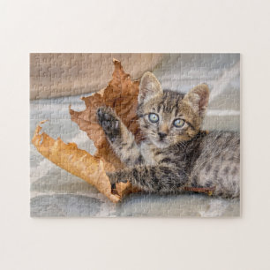 Quebra-cabeça Cute Tabby Cat Kitten Playing With a Leaf -