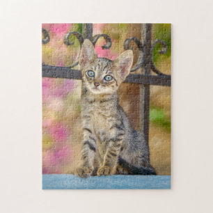 Quebra-cabeça Cute Young Tabby Kitten with Blue Eyes in a Garden