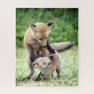 Quebra-cabeça Cutest Baby Animals Adorable Fox Kit & Mama