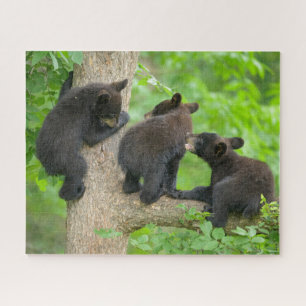 Quebra-cabeça Cutest Baby Animals Three Young Black Bear Cubs