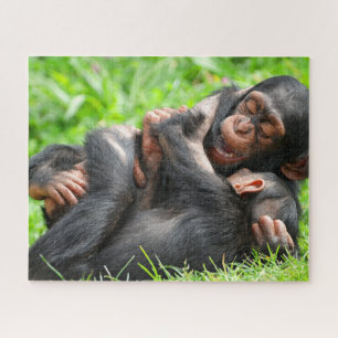 Quebra-cabeça Cutest Baby Animals Two Young Chimpanzees