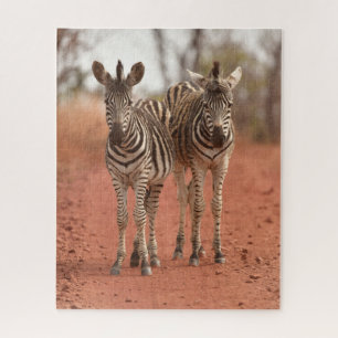 Quebra-cabeça Cutest Baby Animals Two Young Zebras