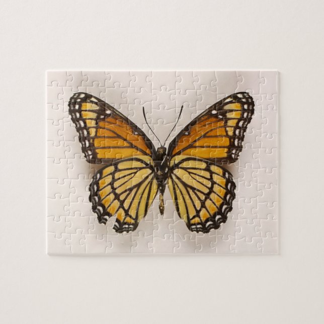 Quebra-cabeça da Borboleta Marrom-alaranjada (Horizontal)