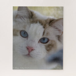 Quebra-cabeça da cara do gato