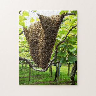Quebra-cabeça da colmeia da abelha do Kiwifruit