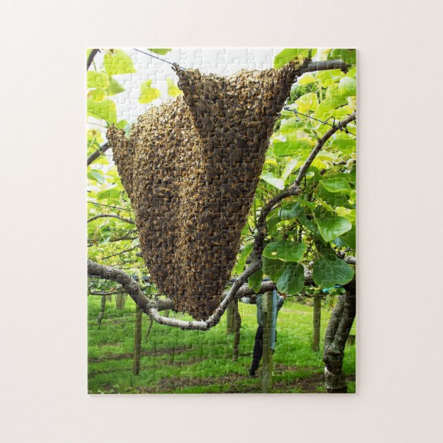 Quebra-cabeça da colmeia da abelha do Kiwifruit (Vertical)