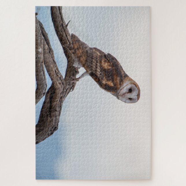 Quebra-cabeça da coruja (Vertical)