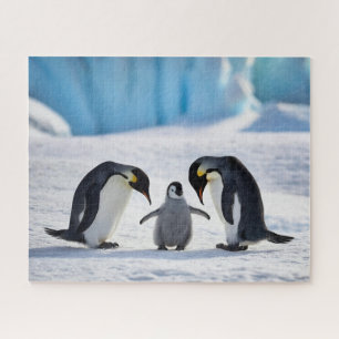Quebra-cabeça da Família Penguin