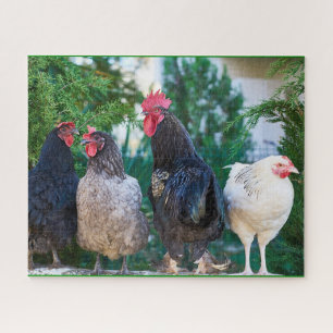 Quebra-cabeça da família Rooster