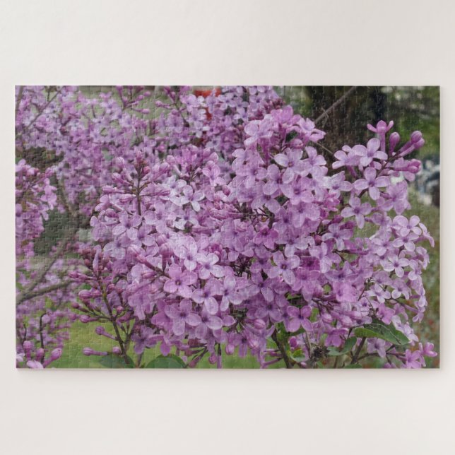 Quebra-cabeça da Flor Rosa (Horizontal)