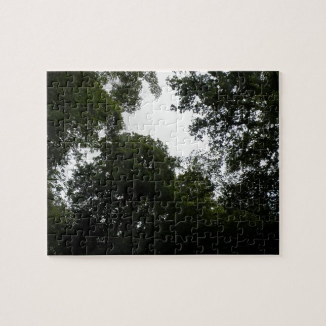 Quebra-cabeça da Floresta Assustadora (Horizontal)