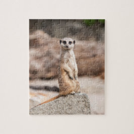 Quebra-cabeça da foto de Meerkat