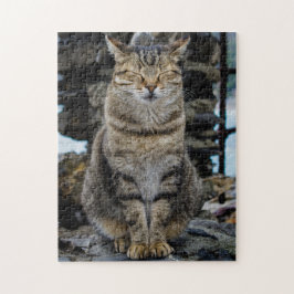 Quebra-cabeça da foto - gato em Cinque Terre,