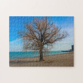 Quebra-cabeça da praia de Chicago no Lago Michigan