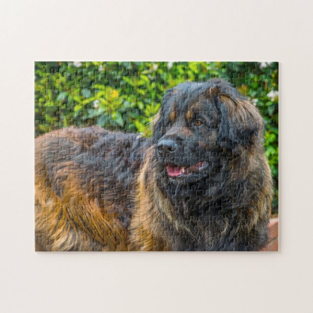 Quebra-cabeça da raça de cães Leonberger. (Horizontal)