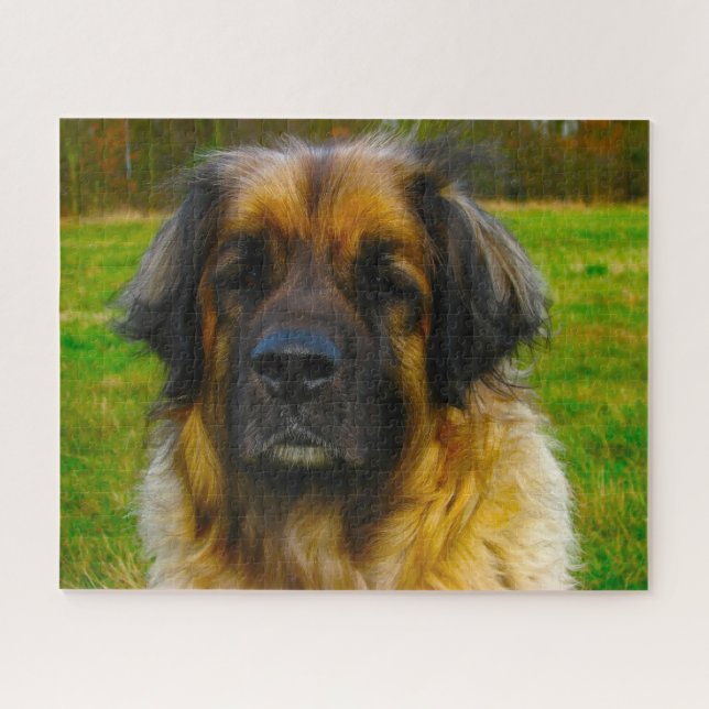 Quebra-cabeça da raça de cães Leonberger. (Horizontal)