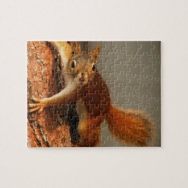 Quebra-cabeça da Vida Selvagem-Esquilo Jigsaw Puzz (Horizontal)