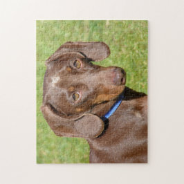 Quebra-cabeça Dachshund