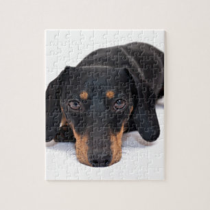 Quebra-cabeça Dachshund pequeno