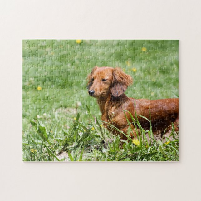 Quebra-cabeça Dachshund vermelho (Horizontal)