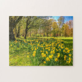 QUEBRA-CABEÇA DAFFODIL