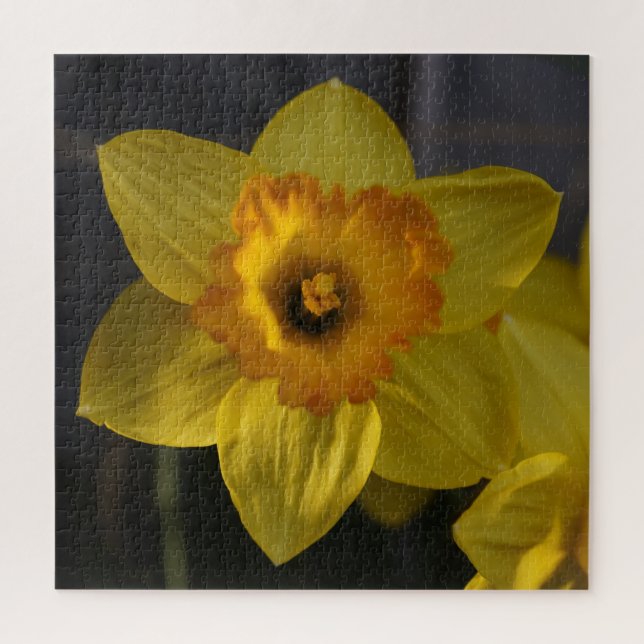 Quebra-cabeça Daffodil Amarelo (Vertical)