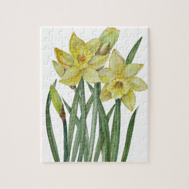 Quebra-cabeça Daffodils De Aquarela Ilustração De Retrato De Flo (Vertical)