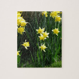 Quebra-cabeça Daffodils do primavera
