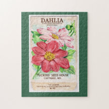 Dahlia