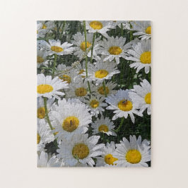 Quebra-cabeça Daisy Daydream Puzzle, 11" x 14", 252 pieces