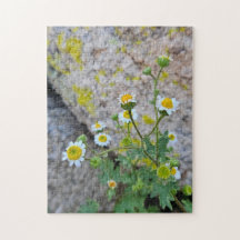 Quebra-cabeça Daisy Dots of Delight, 28cm x 35,5cm