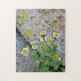 Quebra-cabeça Daisy Dots of Delight, 28cm x 35,5cm