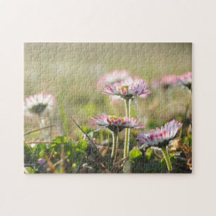 Quebra-cabeça Daisy Flowers Flower Field Primavera Meadow Beaufu