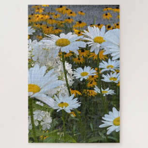 Quebra-cabeça Daisy Garden