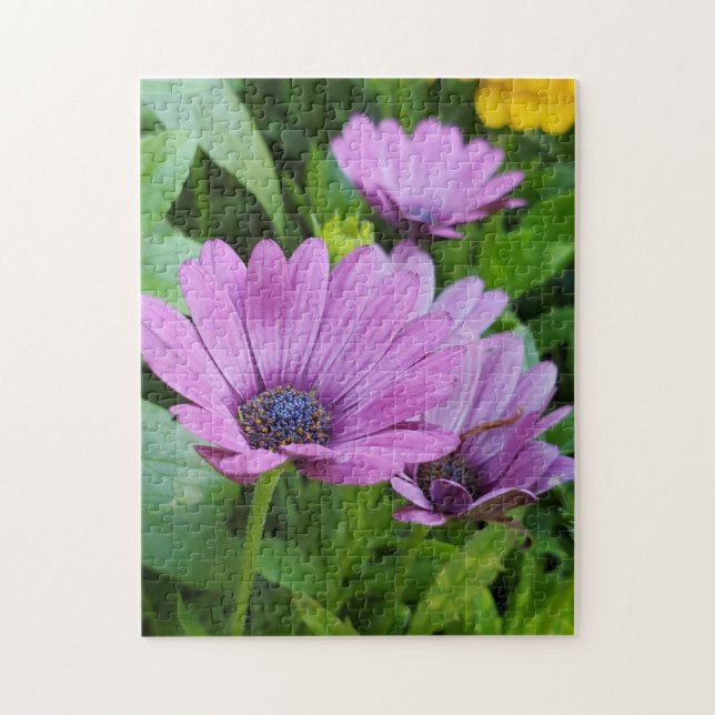 Quebra-cabeça Daisy osteospermum (Vertical)