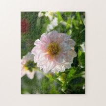 Dália branca na foto do jardim