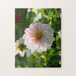 Quebra-cabeça Dália branca na foto do jardim